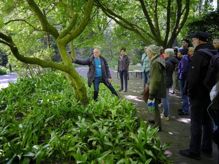 realtime-festival-klangspaziergang_joern_paland_2_Andreas-Caspari-768x576